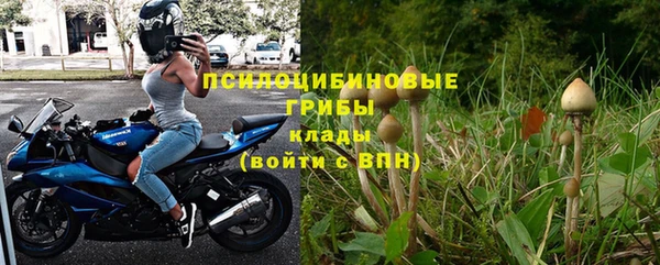 гидропоника Алзамай