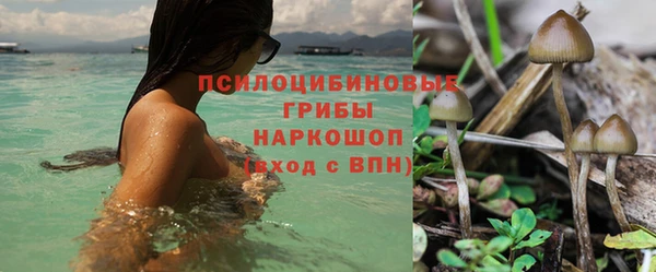 дживик Алексеевка